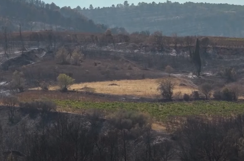  ¿Por qué sorprenden tanto los incendios en Francia este verano? Se quemó lo equivalente al territorio de París
