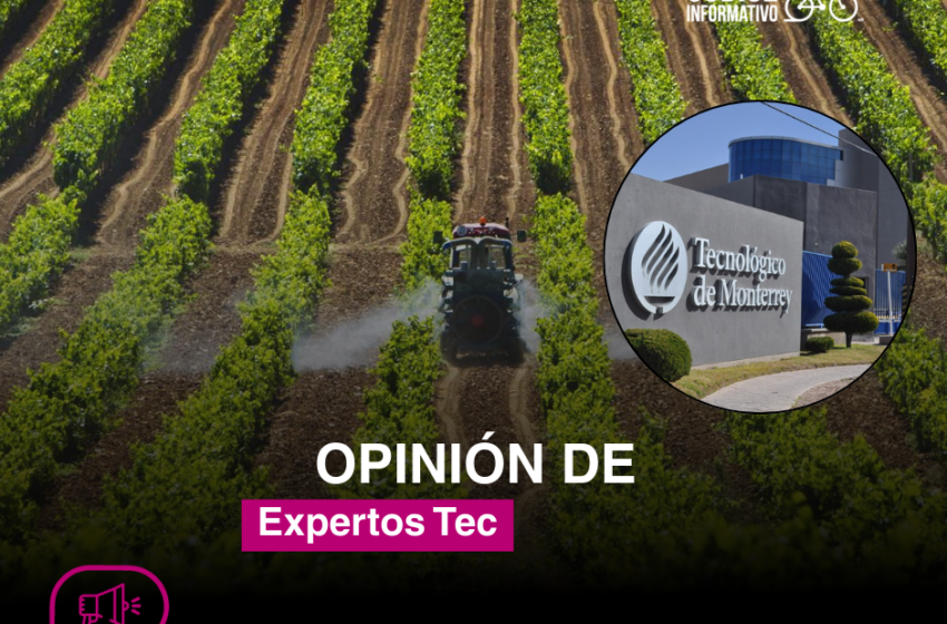  La agricultura frente al cambio climático: de desafío a oportunidad sostenible