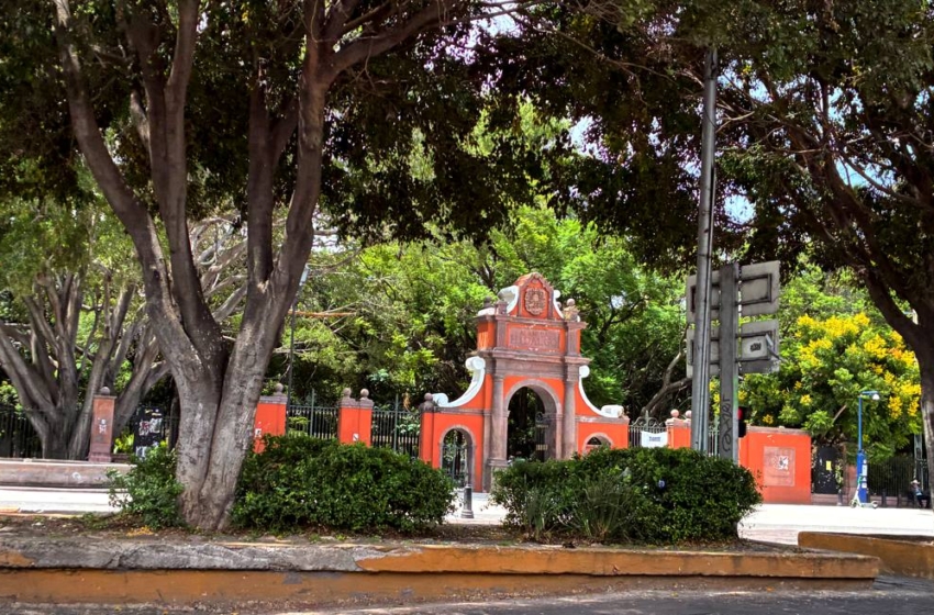  Destinan 900 mil pesos para atender plagas en árboles de la Alameda