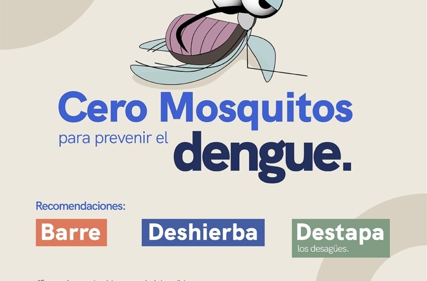  Querétaro suma 74 casos de dengue; autoridades refuerzan llamado a la prevención