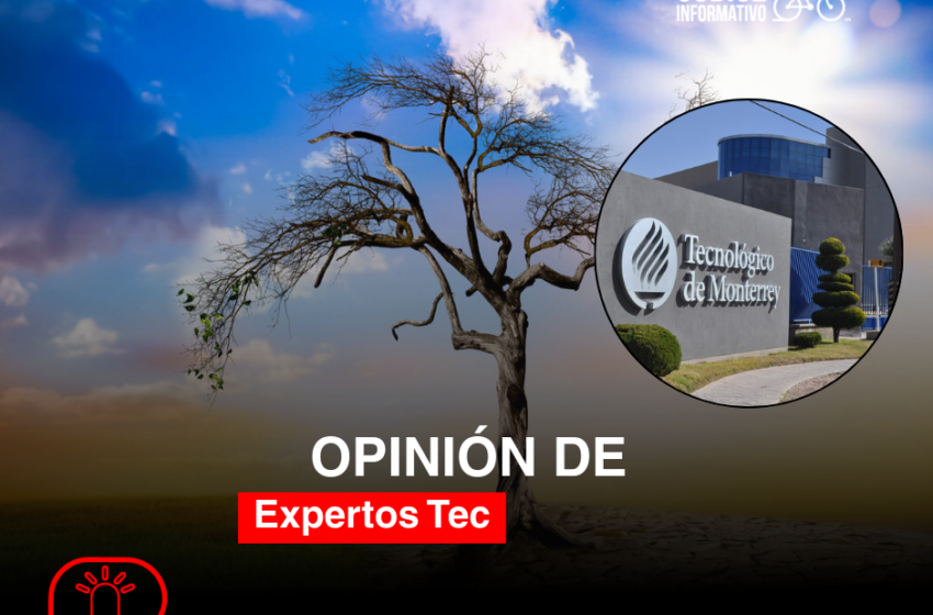 Descarbonización como moneda de cambio y estrategia de supervivencia