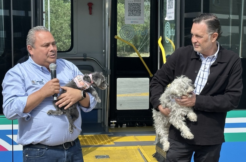 A partir del día de hoy puedes inscribir a tu perro en el Sistema Qrobús Pet Friendly