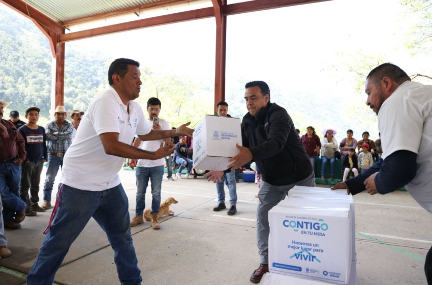  “Se está llegando hasta el último rincón”: Luis Bernardo Nava sobre la atención a damnificados en la Sierra Gorda