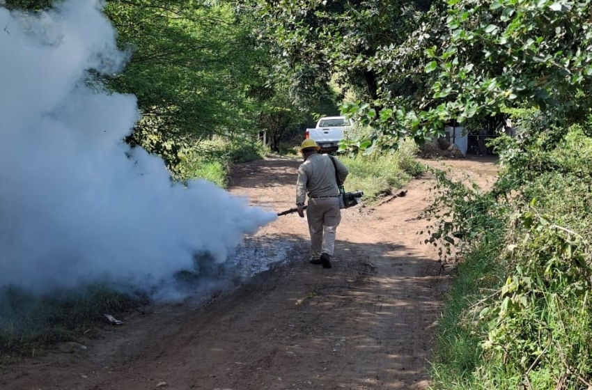  Querétaro mantiene un caso local de dengue y una defunción; SESA refuerza vigilancia