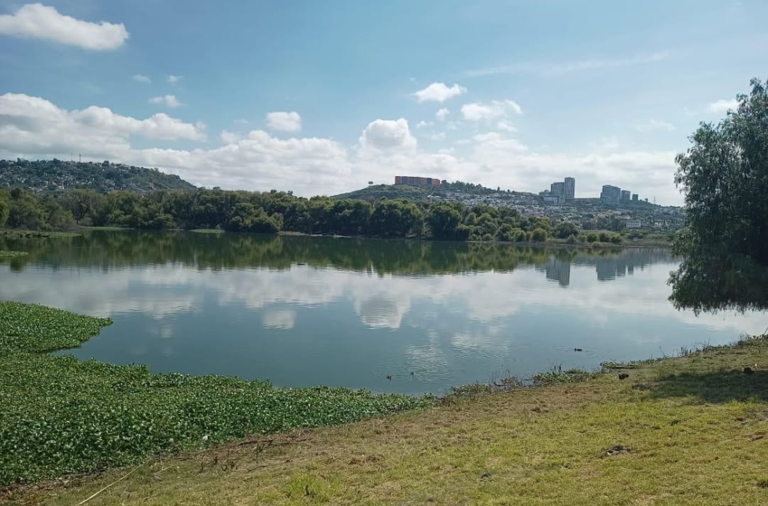  Realizan limpieza y control de mosquitos en Querétaro 2000; reabrirán trotapista