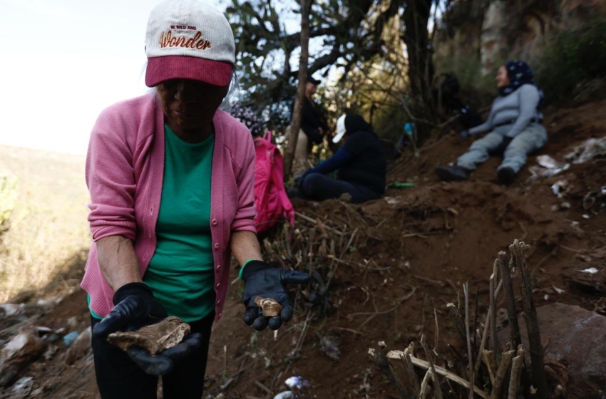  La búsqueda continúa: colectivo realiza prospección en Fray Junípero Serra y convoca a actividades públicas en La Cruz