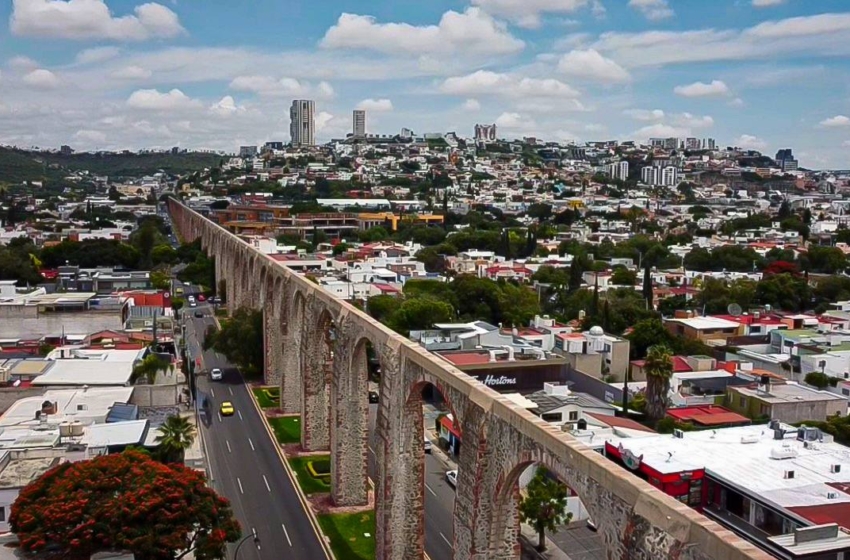  Municipio de Querétaro reporta aumento del 63.3% en superficie reforestada durante 2025