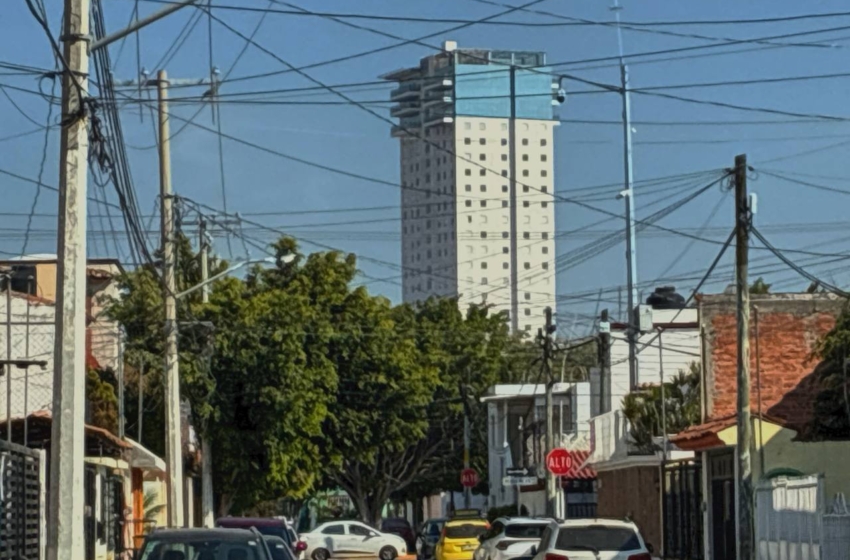  Municipio de Querétaro llama a corresponsabilidad ciudadana para alcanzar 80% de supervivencia del arbolado urbano