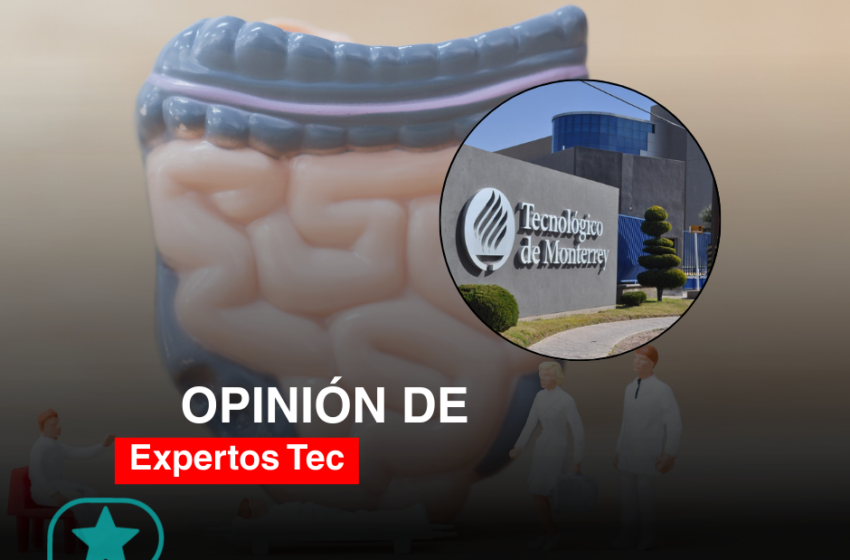  Eje intestino-microbiota-cerebro: ¿cómo los microbios en tu intestino influyen en tus emociones?