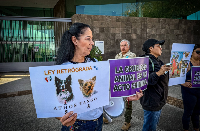  Indignación por reducción de sentencia en el caso de Athos y Tango: activistas piden intervención de la Corte