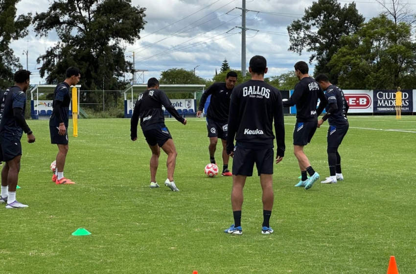  Gallos Blancos inicia pretemporada rumbo al Clausura 2026