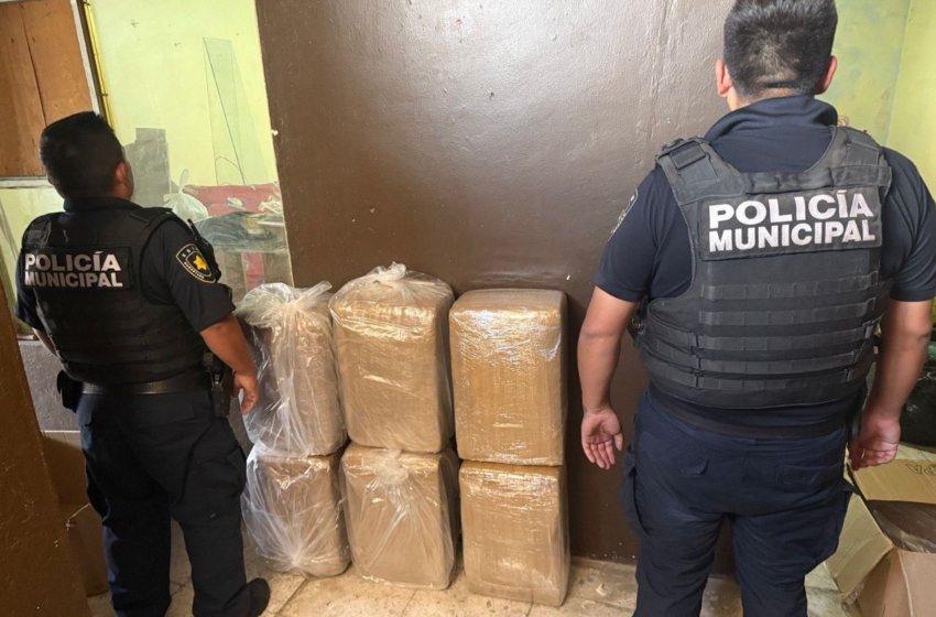  Aseguran más de 60 kilos de marihuana en Lomas de Casablanca tras denuncia ciudadana