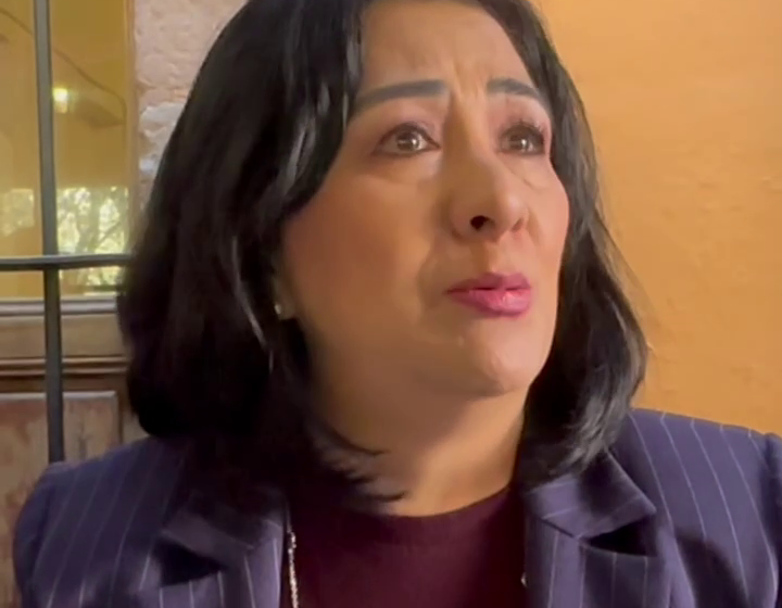  Reforma Electoral abonará a evitar que personas como Lilly Téllez lleguen a ocupar un curul, afirma Beatriz Robles