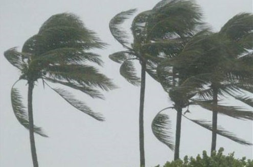  Continúan rachas de viento fuertes y ambiente frío en gran parte del país