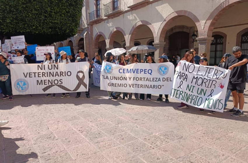  7 de cada 10 veterinarios en Querétaro han sufrido agresiones; 70% ha pensado dejar la profesión