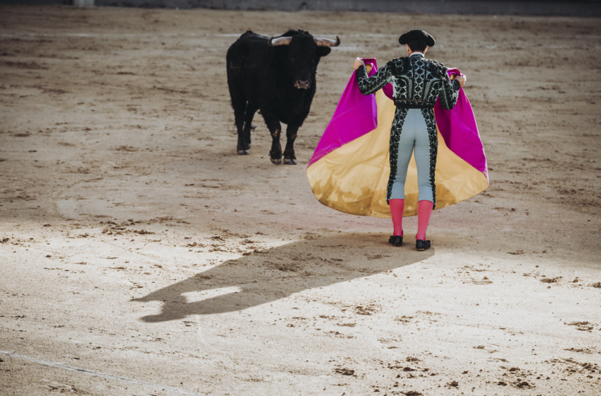  Tauromaquia es un tema controversial y corresponde al Congreso discutirlo, afirma Mauricio Kuri