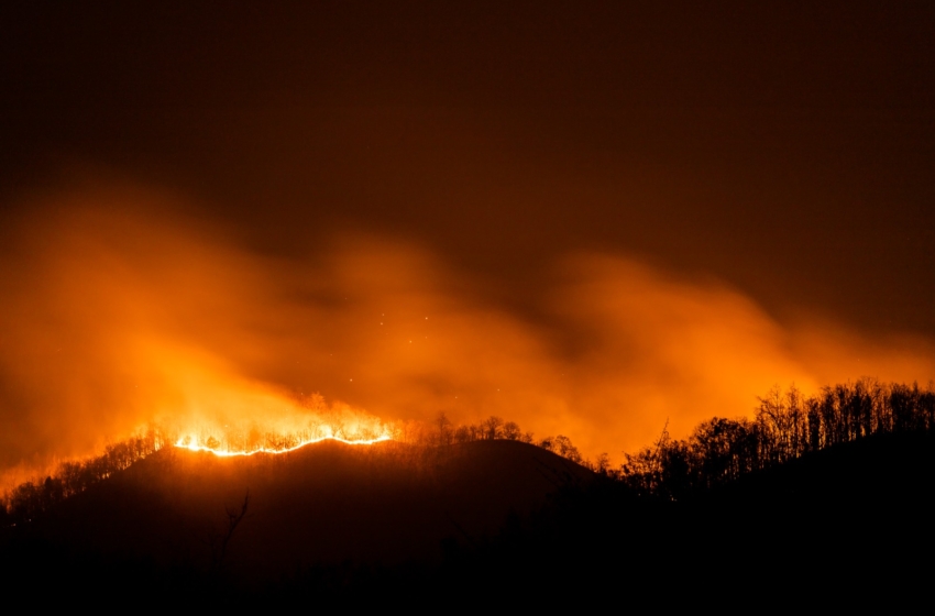  Más de 2 mil hectáreas afectadas por incendios en Querétaro