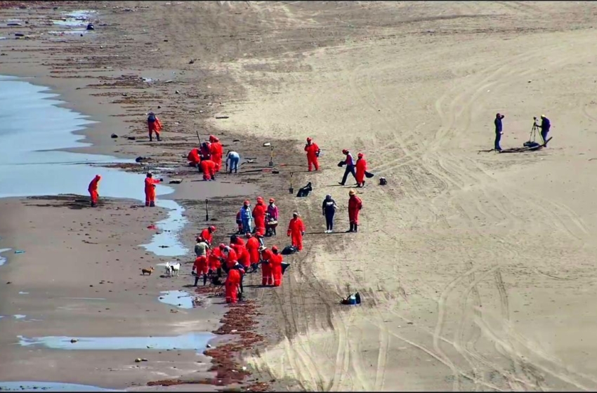  Gobierno federal concluye contención de hidrocarburo en el Golfo y reporta 85% de avance en limpieza de playas