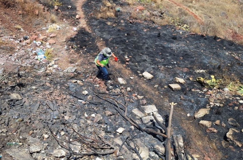  Atiende Municipio de Querétaro incendio en Cerro Colorado