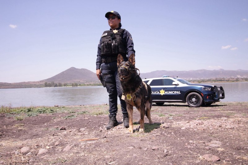  Saldo blanco durante periodo vacacional en el municipio de Querétaro
