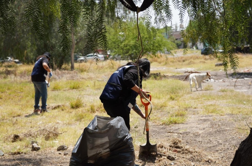  Justicia cívica en Querétaro suma más de 6 mil 700 faltas atendidas y 600 trabajos comunitarios