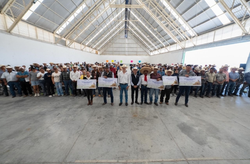  El Marqués entrega 30 mil pacas de forraje para apoyar al sector ganadero