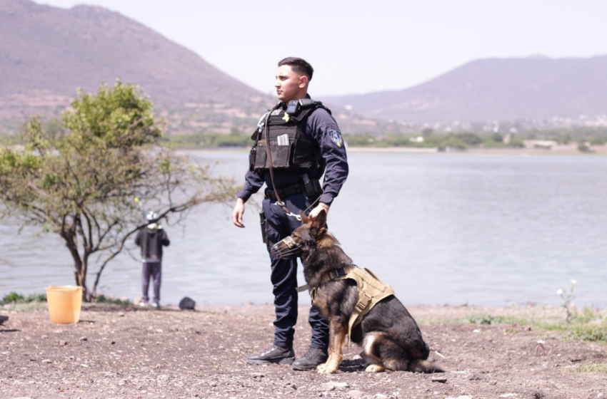  Querétaro mejora percepción de seguridad y sube 12 lugares a nivel nacional