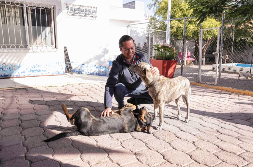  Chepe Guerrero anuncia construcción de la primera clínica veterinaria municipal en Corregidora