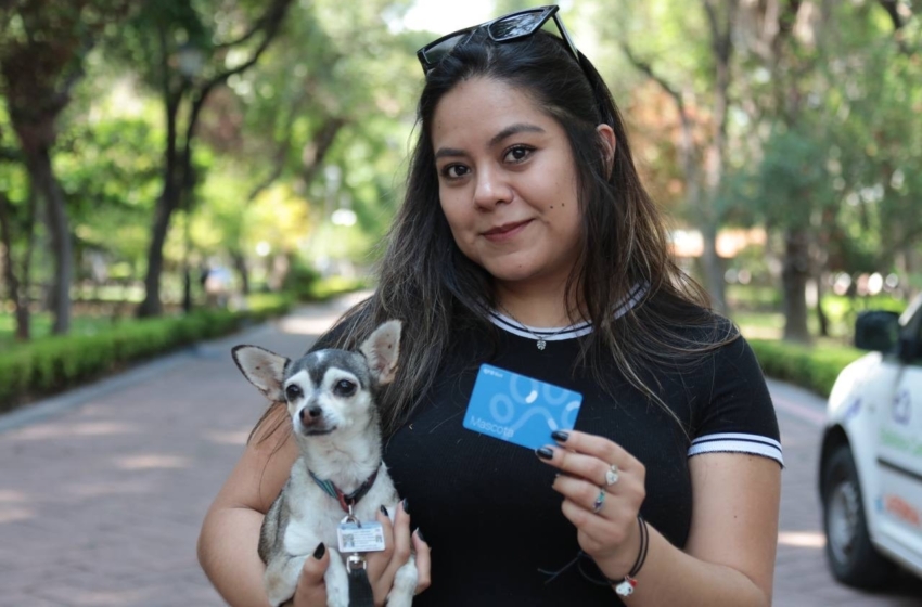  Qrobus registra 350 mascotas en jornada PetFriendly en Querétaro