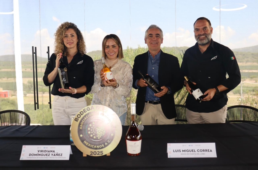  Anuncian Vendimia “Blanco y Tinto” 2026 en Puerta del Lobo