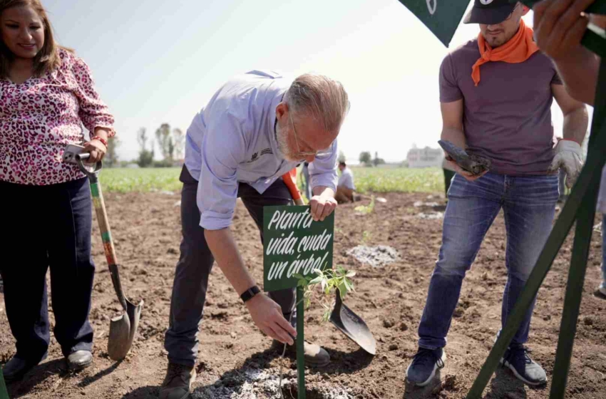 Reforestan Campo Deportivo Amazcala con 300 plantas nativas para recuperar zonas degradadas