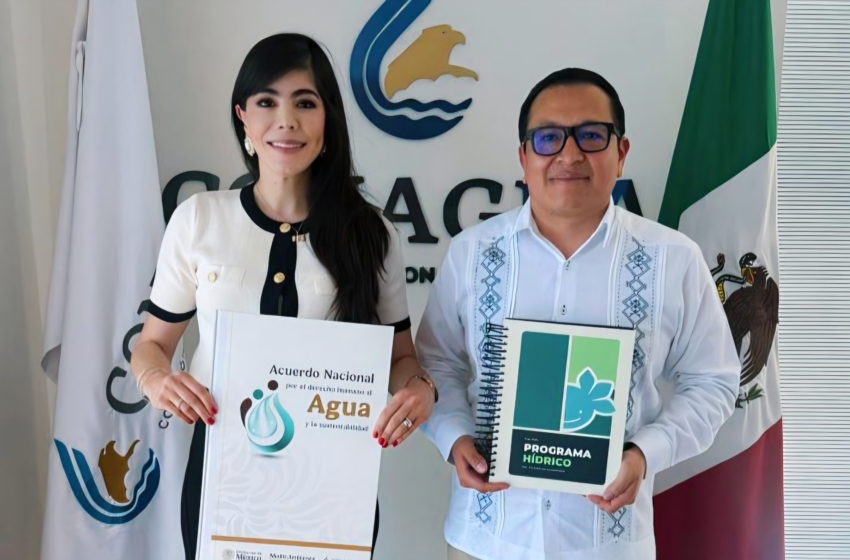  Consejo Consultivo impulsa homologación de legislación hidráulica con normas federales