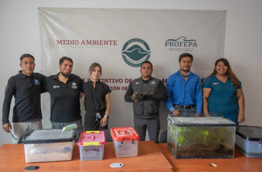  IMPA asegura especies exóticas y endémicas en domicilio de El Marqués
