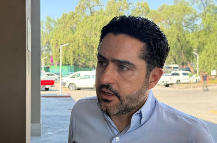  PAN propone negar empleos públicos a deudores alimentarios; iniciativa será presentada en el Senado