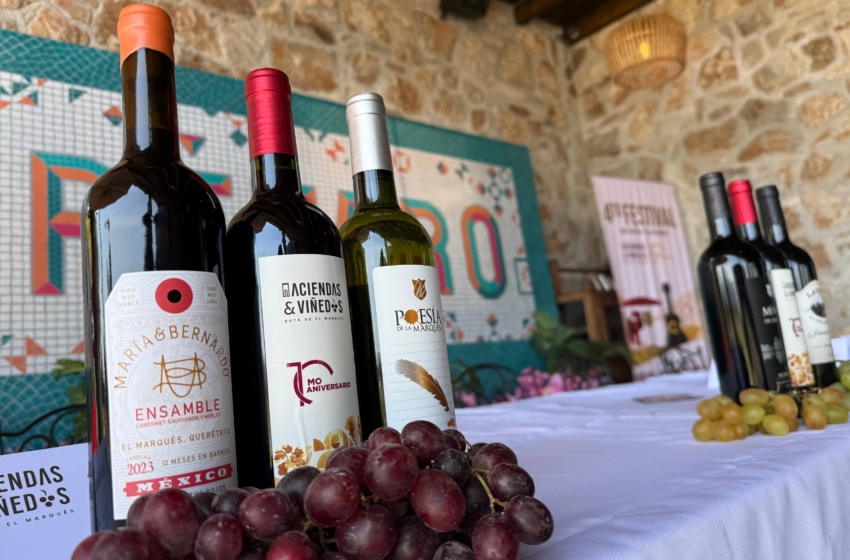  Festival de Haciendas y Viñedos del Marqués espera asistencia de 700 personas