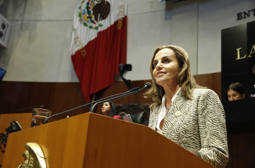  Lorena García Alcocer pide garantizar autonomía del SAT en ratificación de Administradora de Grandes Contribuyentes