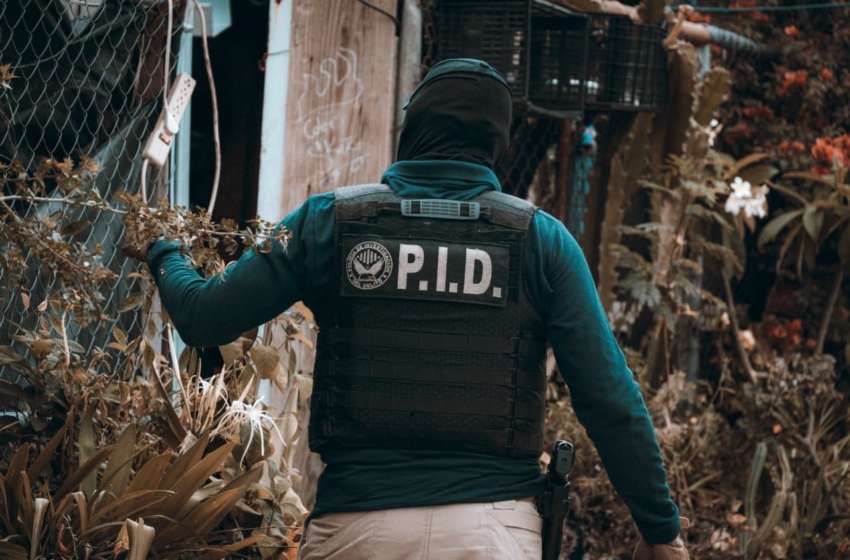  Cateos en la Sierra Gorda dejan tres detenidos y aseguramiento de droga y vehículos