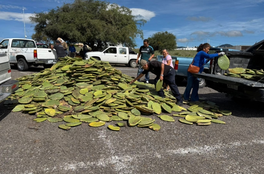  Municipio de Querétaro entrega semilla de maíz y otros insumos para fortalecer al campo