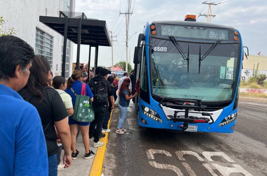  AMEQ refuerza la ruta C51 de Qrobus ante aumento del 30% en usuarios