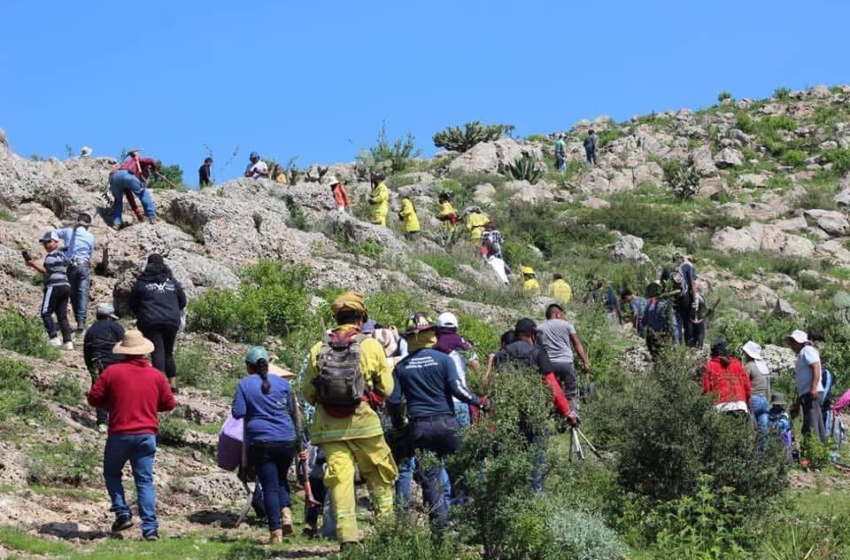  “Sí hay disposición al diálogo”: Astrid Ortega rechaza señalamientos de activistas por el caso Cerro Grande