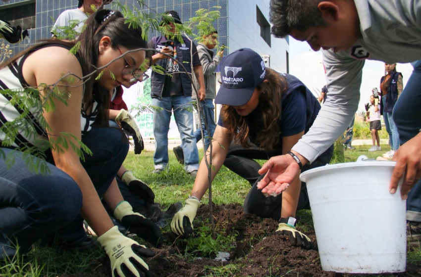  Plantan 40 árboles nativos en jornada de reforestación en BLOQUE