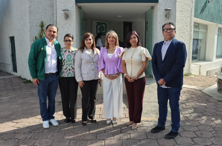  CANAINMA llama a empresas y consumidores a verificar el origen legal de la madera