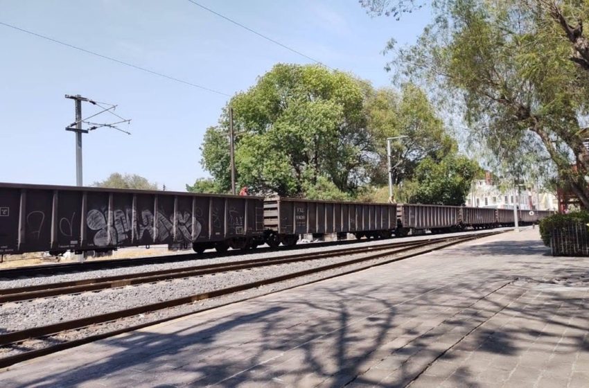  SICT se comprometió a no talar árboles por el Tren México-Querétaro en El Tepe: Activista