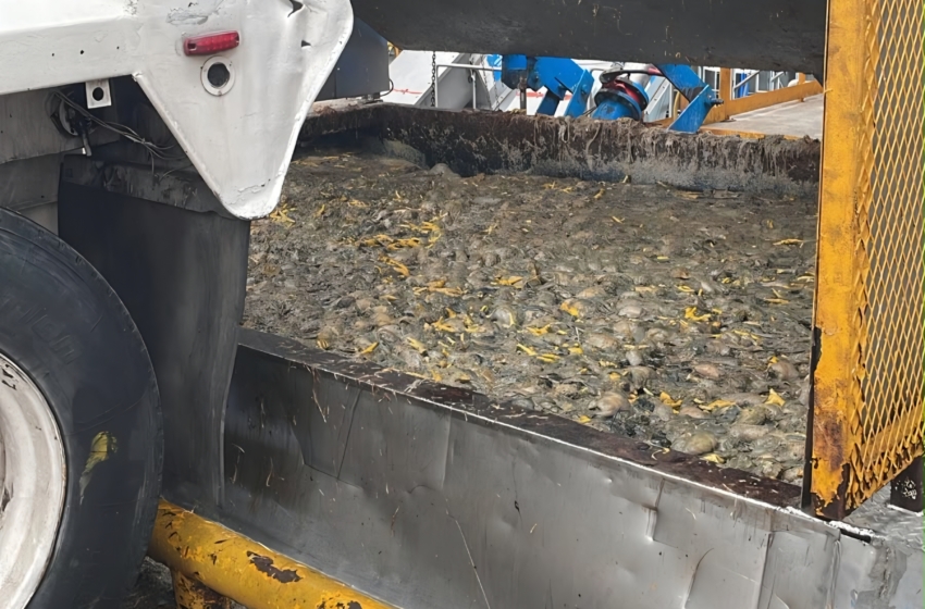  PEPMADU ordena medidas preventivas tras denuncia por malos olores en El Marqués
