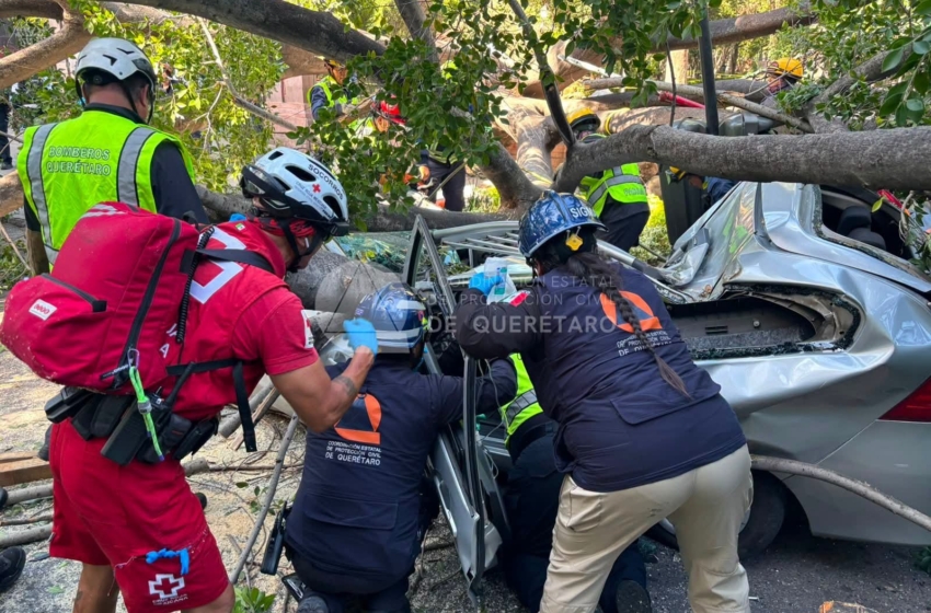  Felifer Macías pide no politizar tragedia por caída de árbol en Querétaro