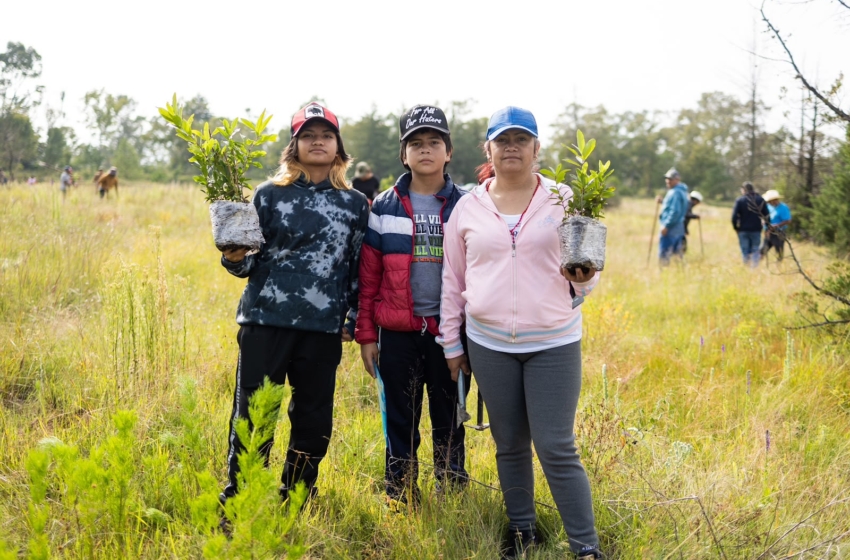  Querétaro participa en Jornada Nacional de Reforestación con la plantación de 2 mil 600 árboles