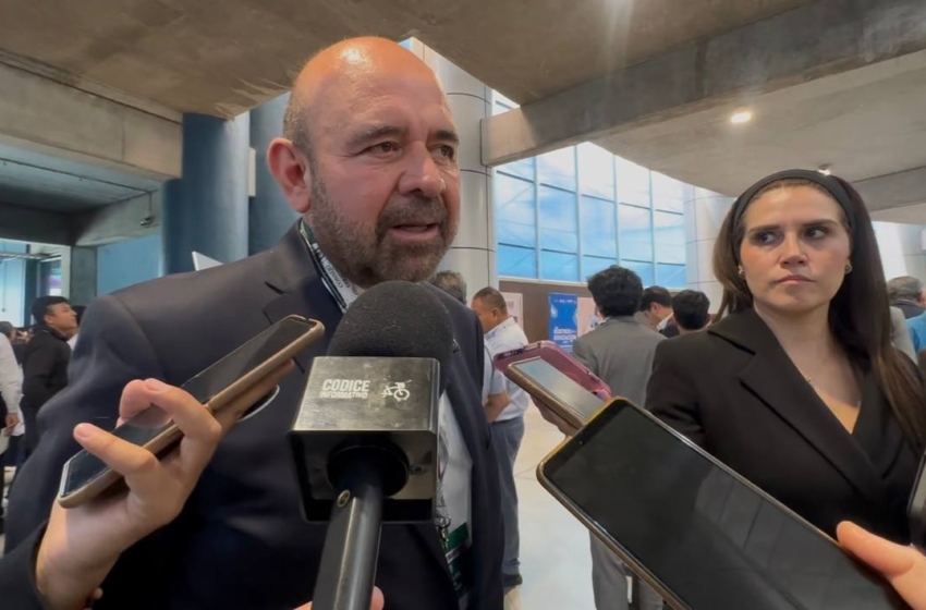  Retiro de árboles por obras del Tren México-Querétaro deberá compensarse con nuevas especies