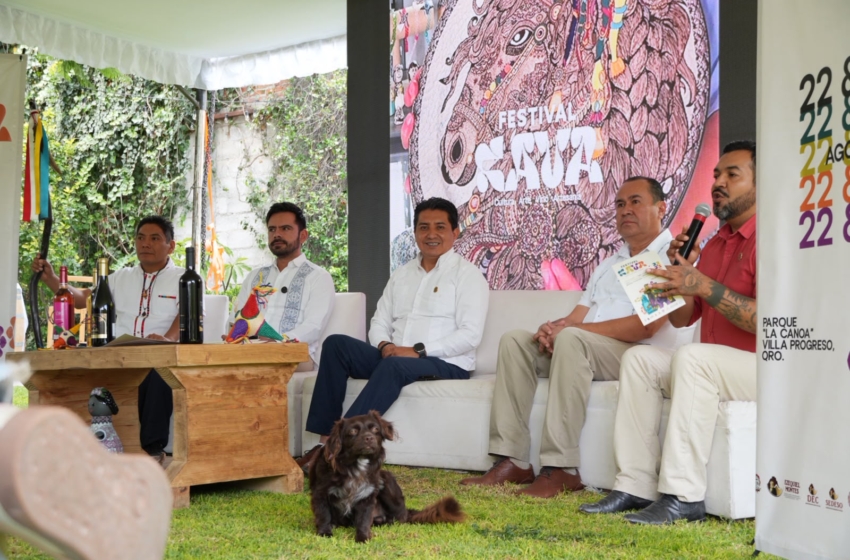 Presentan Festival CAVA 2026, una celebración de la tradición vitivinícola de Villa Progreso