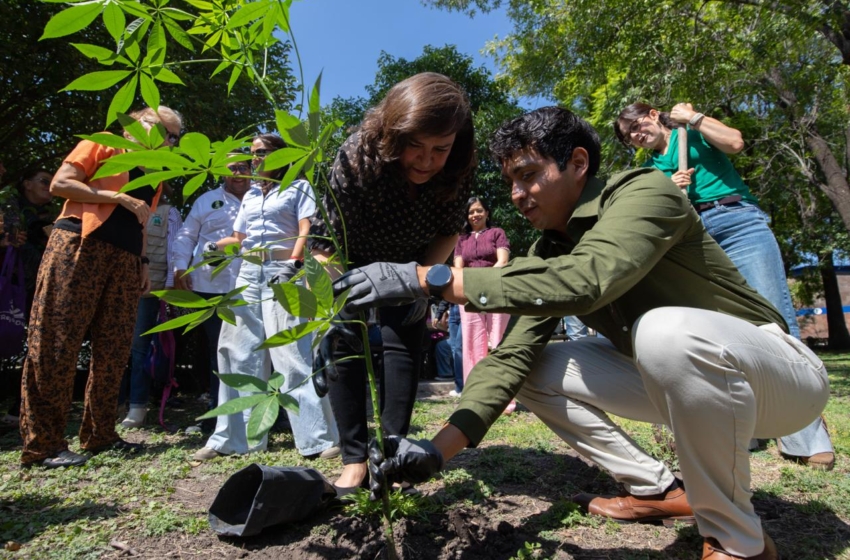  UAQ plantará 580 árboles nativos en siete planteles durante campaña ambiental