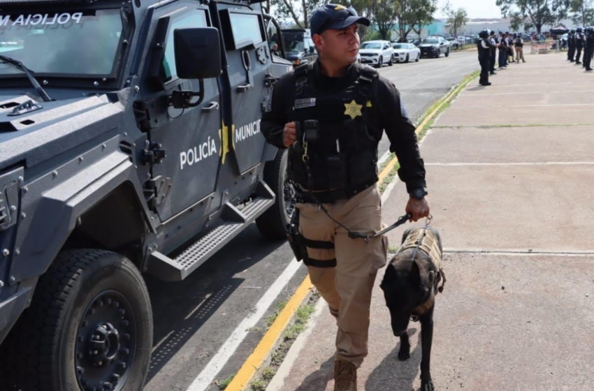  Disminuyen 17% los delitos contra la integridad en Querétaro: SESNSP